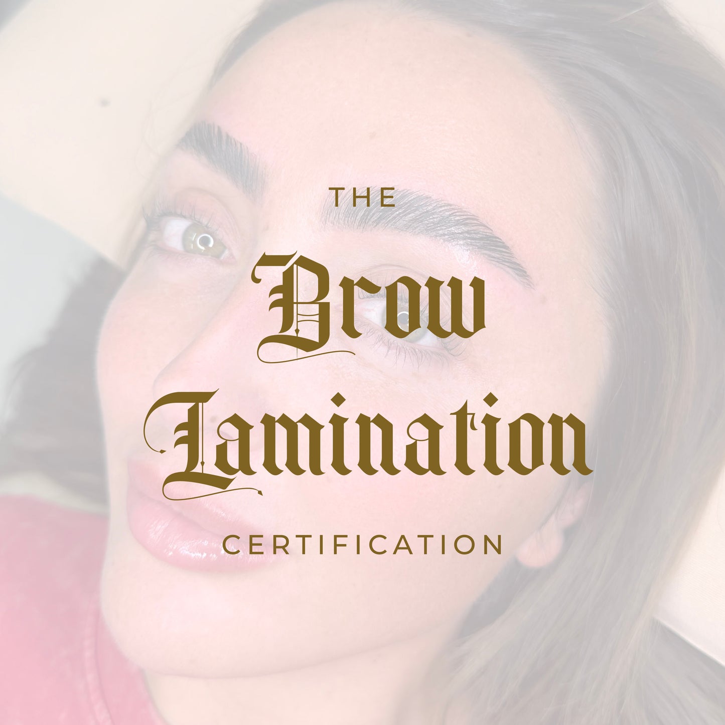 Brow Lamination Certification