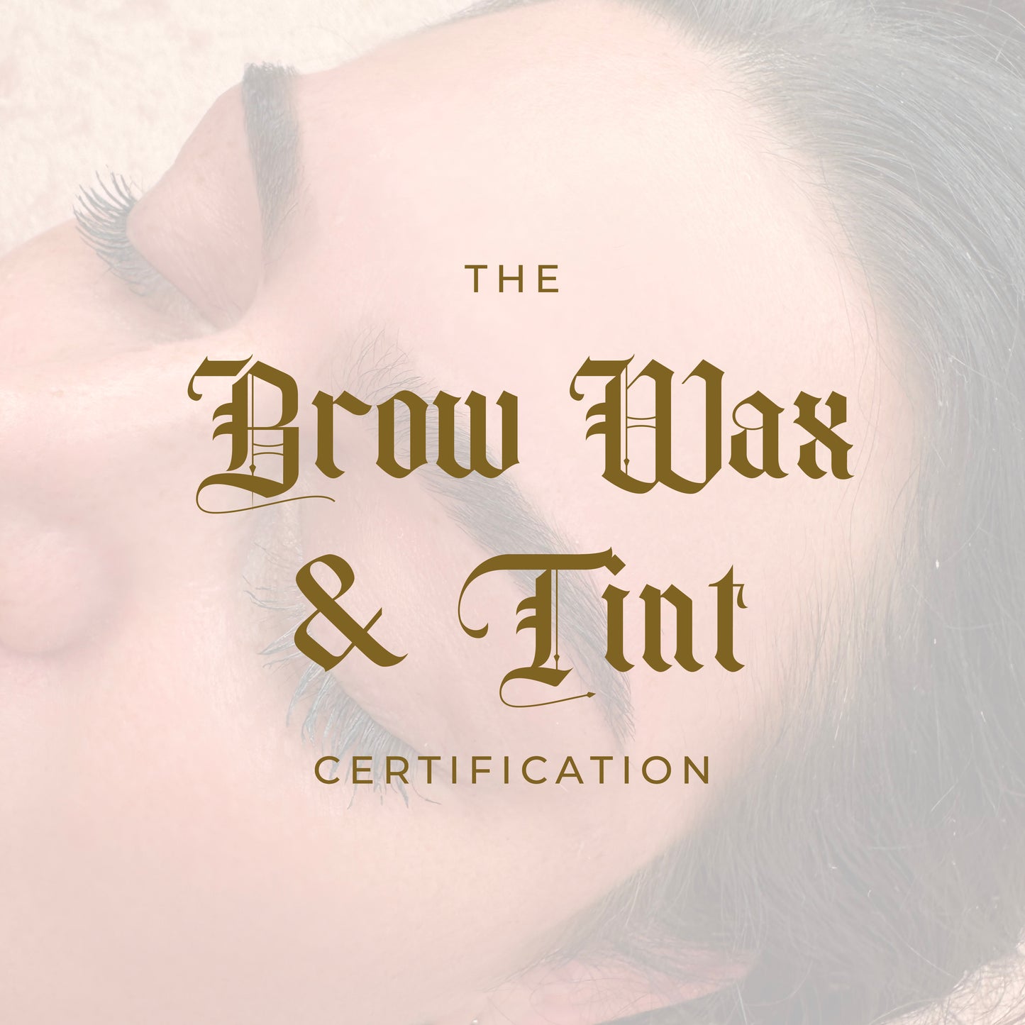 Brow Wax & Tint Certification